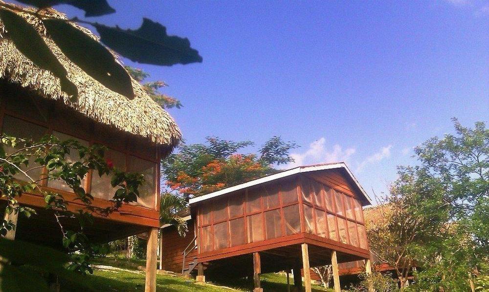 Cahal Pech Village Resort San Ignacio Bekvemmeligheter bilde